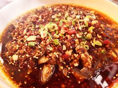 凉拌鸡-铁公鸡·四川料理(天环广场店)