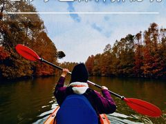 -上海海湾国家森林公园