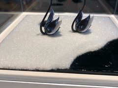-BLACKSWAN黑天鹅(环球店)