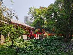 -白家大院·王府宫廷菜(苏州街店)