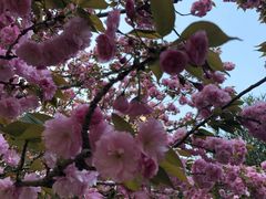 -苏州河梦清园环保主题公园