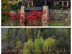 -黄陂区野村谷景区