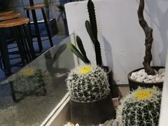 -莓超疯