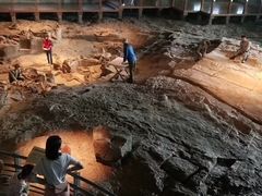 -自贡恐龙博物馆