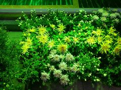 -南通洲际绿博园