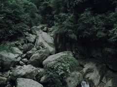 -龙窝子