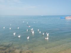 -青海湖国家重点风景名胜区