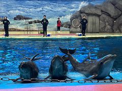 -福州罗源湾海洋世界旅游区