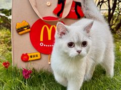 -麦当劳(领展中心城店)