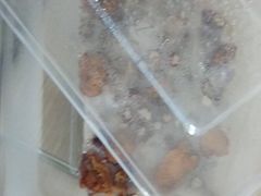 -清真老西北角温记粘食店(长沙路店)