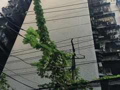 -邓莽子老火锅(中兴路总店)