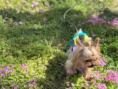 -泡泡玛特POPMART(上海环球港店)