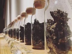 -煮叶(悠唐广场店)