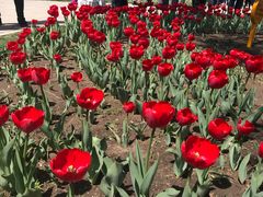 -长春公园(普阳街道)