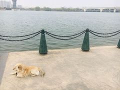 -灞河西岸滨河公园