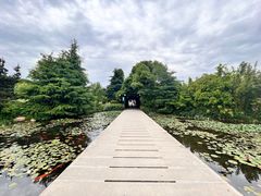 -白马涧龙池景区