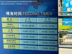 -上海海洋水族馆