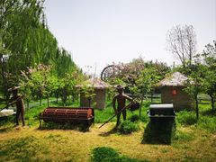 -溱湖国家湿地公园