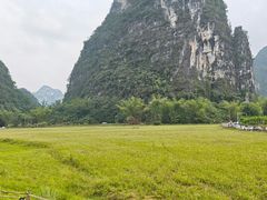 -明仕田园