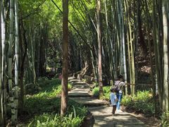 -黄埔油麻山森林公园