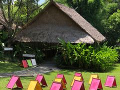 -大象粑粑造纸公园