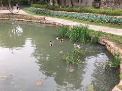 -乌村