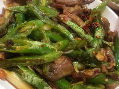 羊肉回锅肉-野狗羊肉汤