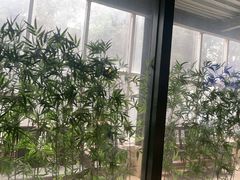 -金成潮菜博物馆(海珠湿地店)