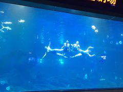 -福州罗源湾海洋世界旅游区