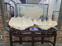 -游龙石文化科普馆