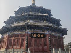 -中国唐苑