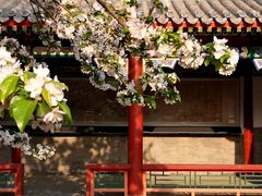 -大钟寺古钟博物馆