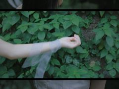 -枸杞岛