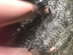 -明谷行馆·温泉