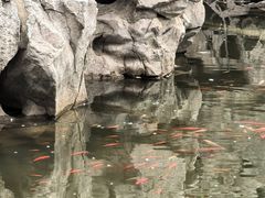 -李叔同故居纪念馆