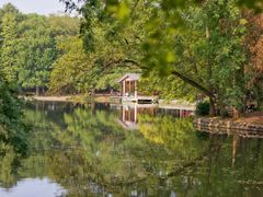 -上海共青森林公园