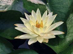 -长广溪湿地公园