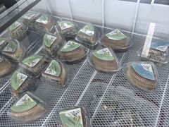 -正飞鲜奶(吐鲁番路店)