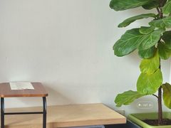 -纽巷咖啡 SOFTFOCUS COFFEE(锦和巴黎时韵店)