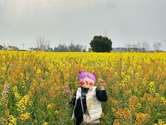 -中国天府农业博览园