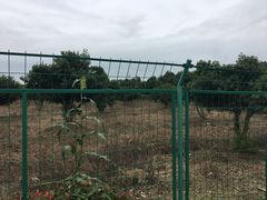 -呼吸森林·生态农庄农家乐私房菜