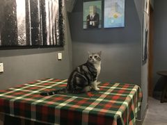 -咖法森林·咖啡  酒吧(天河店)