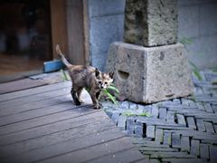 -西湖天地