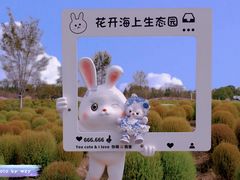 -花开海上生态园