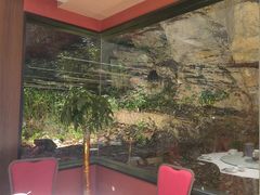 -雅苑中餐厅