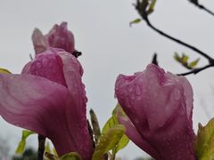 -北京十三陵国家森林公园蟒山景区