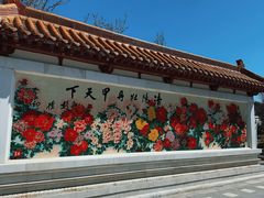 -神州牡丹园