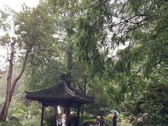 -杭州植物园