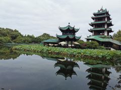 -桂湖森林公园