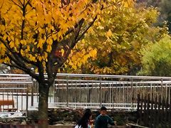 -秦岭风景区